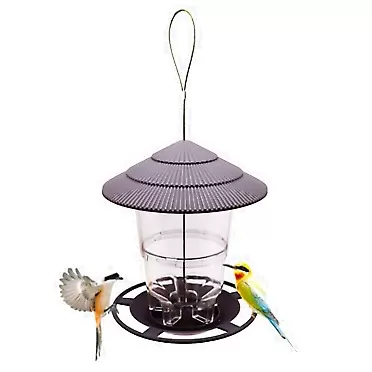 Domccy Squirrel Proof Bird Feeders Waterproof Retractable Hanging Wild Bird Feeding Station Garden Decor| Home Life,Feeders