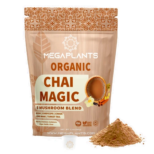 MEGAPLANTS Chai Magic (50 Servings) | Superfood 5 Mushroom Powder Blend for Focus, Clarity & Energy + Spiced Masala Chai Blend | Smoothie, Coffee Alternative
