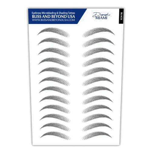 Bliss and Beyond USA | Microblading & Shading Tattoo | A combination of hair stoke and powdered brows | Non-toxic | Vegan friendly (Dramatic Miami - Black)