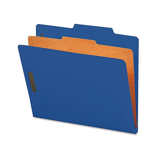 Nature Saver NATSP17202 - Nature Saver Colored Classification Folder