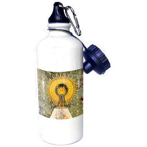 3dRose Basilica Basilic of El Pilar Our Lady of the Pillar (Virgin Mary) -Sports Water Bottle, 21oz , Multicolored