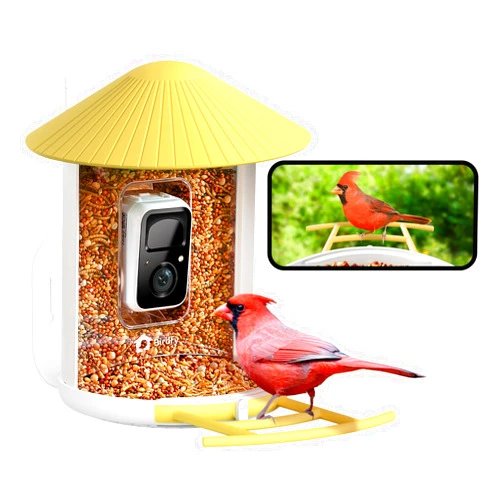 NETVUE by Birdfy Smart Bird Feeder with Camera, Bird Watching Camera, Auto Capture Motion Videos & Instant Notifications, Wireless Camera for Outdoor, Ideal Gift for Backyard Birder, Yellow