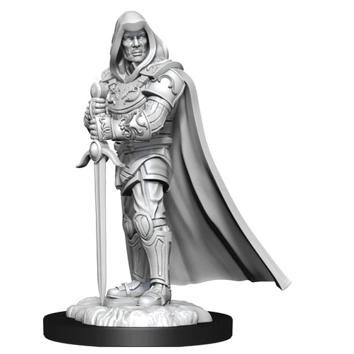 WizKids Dungeons & Dragons 48821 Board Game