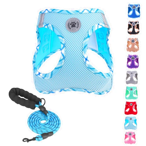 BEAUTYZOO Dog Harness and Leash Set for Small Medium Dogs,No Pull Step-in Harness for Puppy S M Sized Dogs and Cats,Air Mesh Adjustable Breathable Soft No Chock Escape Proof Vest Harness,Sky Blue S