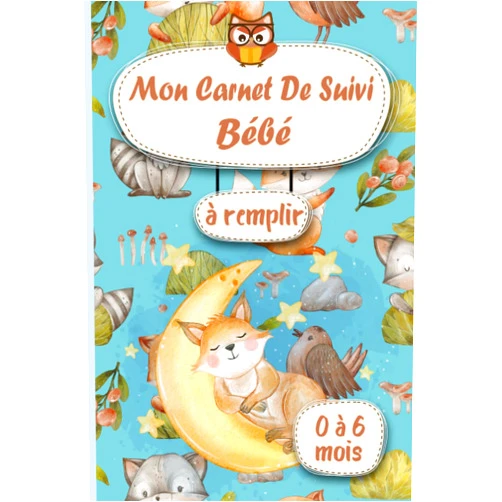 Alain Print Mon Carnet de Suivi Bébé à remplir de 0 à 6 mois: Cahier de suivi maternel, Couches, Sommeil, Repas, Biberon, Soin et Traitement, Cadeau Idéal Future Maman (French Edition)