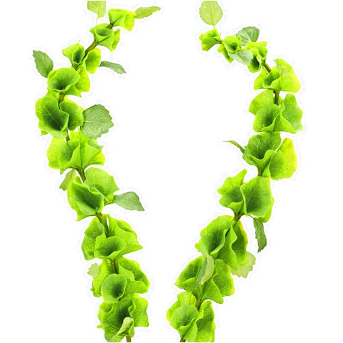 FiveSeasonStuff Artificial Bells of Ireland | Flower Greenery Fillers | Floral Bouquet Arrangement, 2 Stems