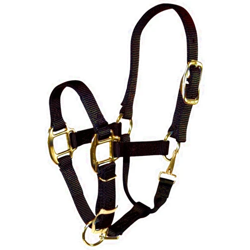 Hamilton Adjustable Quality Weanling Halter with Snap, 3/4-Inch, Black
