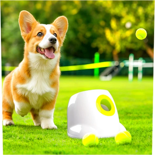 ALL FOR PAWS Automatic Dog Ball Launcher, Interactive Ball Thrower Dog Toys Includes 3pcs Tennis Balls for Small/Medium Dogs