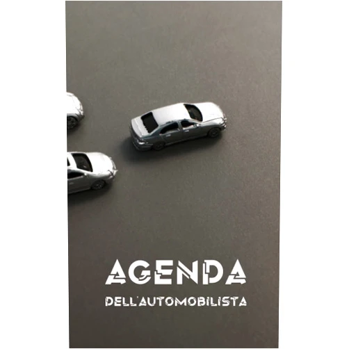 Italian Edition by Rosa D'Avino TRACCE (Author) AGENDA DELL'AUTOMOBILISTA: Un quaderno pratico dove appuntare tutte le informazioni relative alla tua auto. (AGENDE) (Italian Edition)