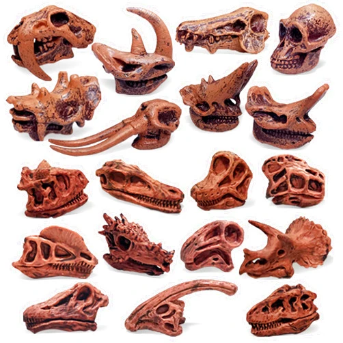 Fantarea Ancient Animal Dinosaur Head Skeleton Fossil Assorted Bones Playsets 19 PCS Action Figures Model Toys for Kids