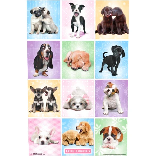 Trends International Puppies Cuties Wall Poster 22.375