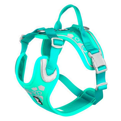 Hurtta Weekend Warrior Dog Harness for Medium Dogs, Peacock Turquoise, 60-80 cm