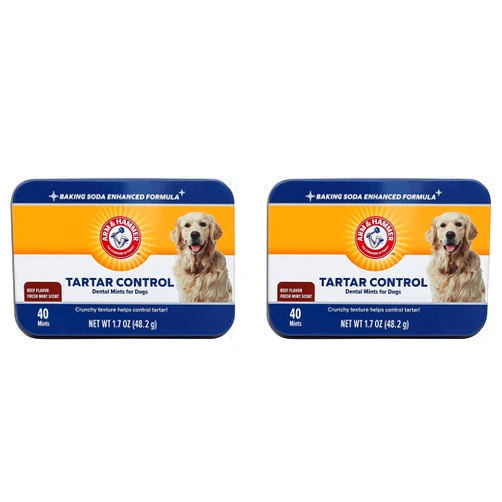 Arm & Hammer for Pets Tartar Control Dental Mints for Dogs | Dog Dental Mints Reduce Plaque & Tartar Buildup for All Dogs | Beef Flavor, 40 Count - Pack of 2 80 Count