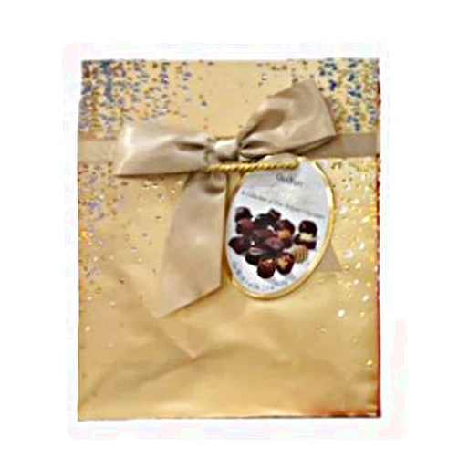 Gudrun Collection of Fine Belgian Premium Assorted Chocolates in Champagne Gift Box - 18.3 oz.