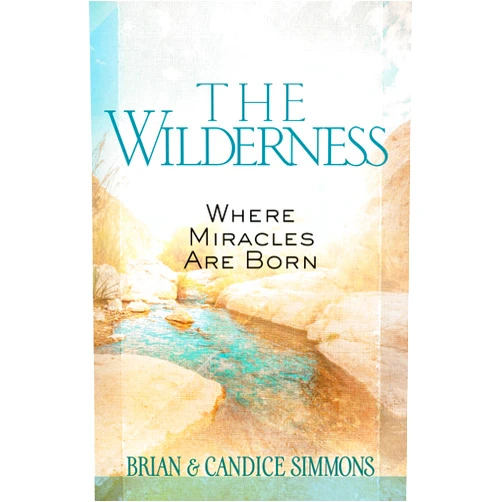 Brian Simmons,Candace Simmons The Wilderness: Where Miracles Are Born (Passion Translation)
