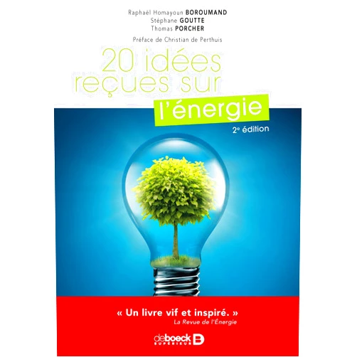 Raphaël Homayoun Boroumand,Stéphane Goutte,Thomas Porcher,Christian de Perthuis 20 idées reçues sur l'énergie