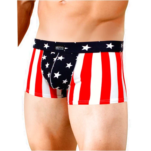 NEPTIO Men's USA Flag Pouch Brief Trunk American Flag Swimsuit