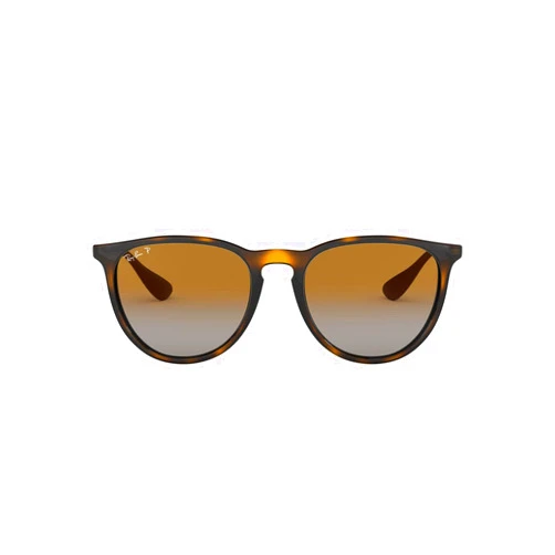 Ray-Ban RB4171F Erika Low Bridge Fit Round Sunglasses
