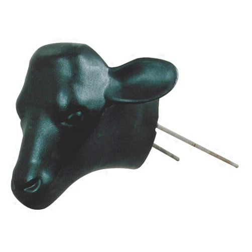 OCAEIW The Original Calf Head Y