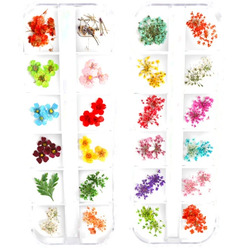 Teenitor Teenior 24 Colors Nail Dried Flowers, 3D Nail Art Sticker for Tips Manicure Decor Mixed Accessories, Starry Leaves Flower (2 Boxes)