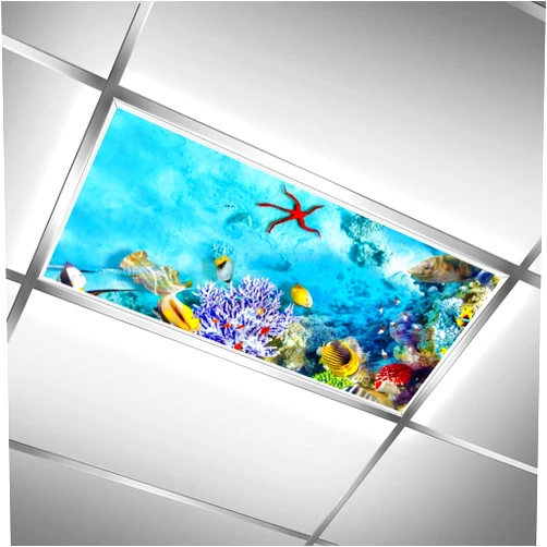 C.IOPMNU 2 Pack Fluorescent Light Cover for Classroom, Starfish Drop Magnetic Ceiling Light Covers Light Filters,Eliminate Harsh Glare Causing Eyestrain and Headaches, 4 x 2 Feet