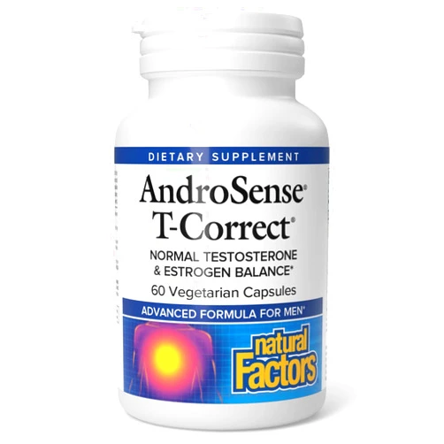 Natural Factors, AndroSense T-Correct, Supports Men's Hormonal Metabolism with Milk Thistle, Turmeric and Lycopene, 60 capsules (30 servings)