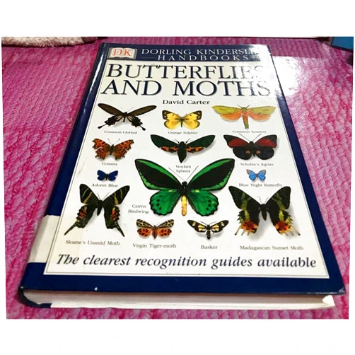 David Carter,Profusely illustrated Butterflies and Moths (Eyewitness Handbooks)