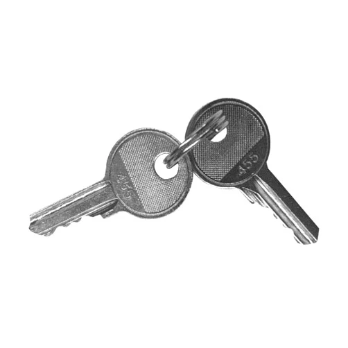 Visionis VIS-7031-SK Spare Key for VIS-7031 Red Push To Exit Button Key Switch for Door Access Control