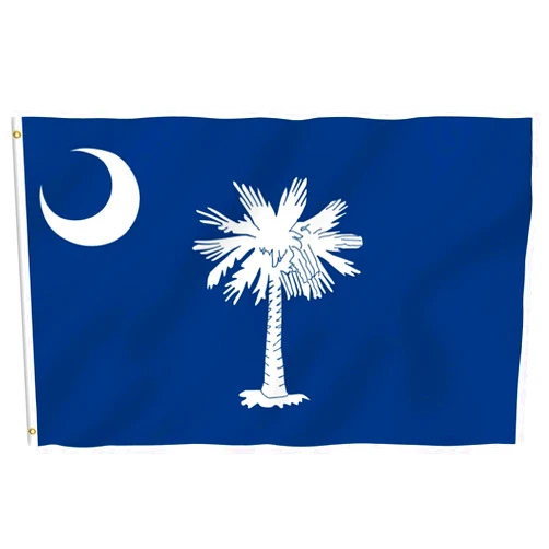 Anley Fly Breeze 3x5 Foot South Carolina State Polyester Flag - Vivid Color and Fade proof - Canvas Header and Double Stitched - South Carolina SC Flags with Brass Grommets 3 X 5 Ft
