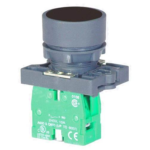 Dayton Non-Illuminated Push Button, 22Mm, Plastic