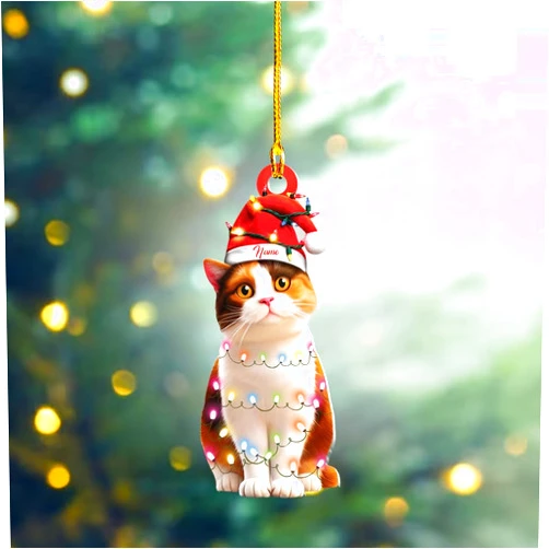 ZENTATI Personalized Munchkin Cat Ornament, Munchkin Cat Christmas Ornament Gift, Cat Car Ornament, Hanging Ornament Gift, Gift for Pet Lover ID-1002-PVIU