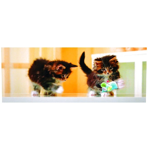Gift Trenz 3-D Motion Kittens with Mouse Bookmark with 6