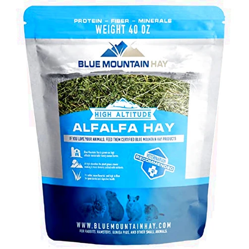 Blue Mountain Hay | 40 oz. Fresh Alfalfa Hay | Available in 15 oz. & 40 oz. Pouches | Nutritious, Delicious Meal Or Snack for Rabbits, Guinea Pigs, Hamsters, Gerbils, Rats, and Other Small Pets