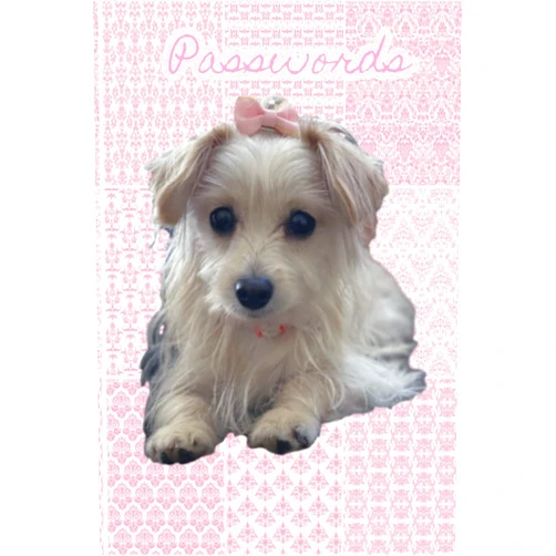 Pyxie Gurl Passwords ~ One Book To Keep Them All: A Place To Keep Track And Write Down Your Passwords