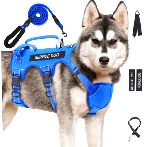 Yungaspy Escape Proof Dog Harness for Large Medium Sized Dogs Six Point Adjustable, Service Dog Vest Harness and Leash Set, No Pull Dogs Harnesses with Handle, XL Dog Harnesses for Walking(Blue, L)