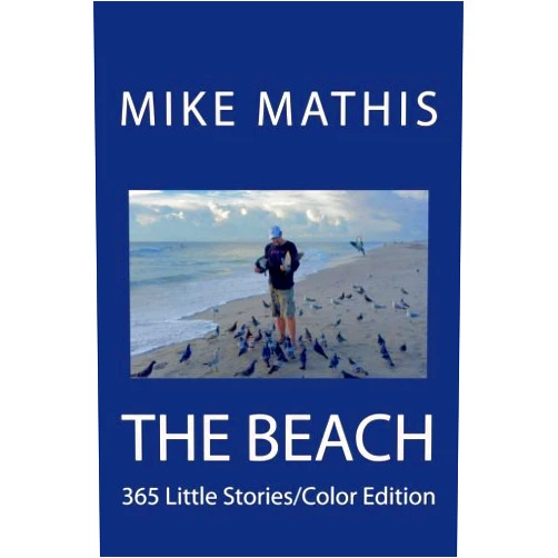 By Mike Mathis (Author) The Beach: 365 Little Stories Color Edition