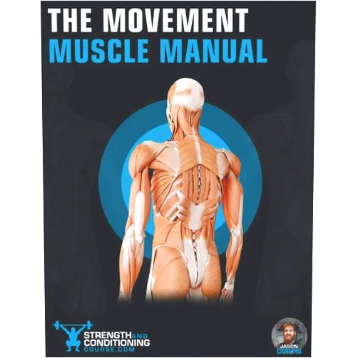 Mr Jason Curtis,Strength and Conditioning Course THE MOVEMENT MUSCLE MANUAL: THE ULTIMATE GUIDE TO FUNCTIONAL ANATOMY