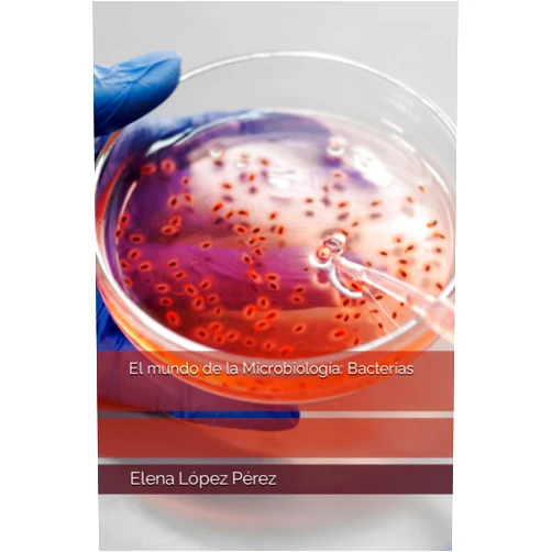 Elena López Pérez,María José Sáez López,Dolores Belmonte Rodes,Rosana Morilla Díaz El mundo de la Microbiología: Bacterias (Spanish Edition)