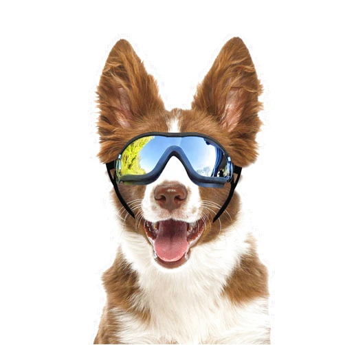 Billionchains Dog Goggles Dog Sunglasses for Medium to Large Breed Anti-UV Eye Protection with Adjustable Straps- Silver
