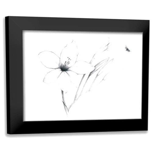 ArtDirect - Tillmon, Avery 18x14 Black Modern Framed Art Print Titled: Graphite Floral II