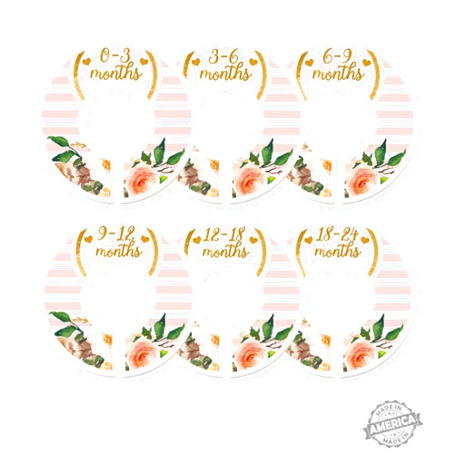 Modish Labels Baby Nursery Closet Dividers, Closet Organizers, Nursery Decor, Baby Girl, Hearts, Flowers, Pink, Stripes (Baby)
