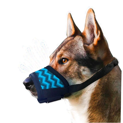 Royal Claws Dog Muzzle, Soft Mesh Muzzle for Small Medium Large Dogs Chihuahua Poodles Beagle Dachshund Corgis Labrador, Puppy Muzzle for Biting Chewing Grooming (Blue, Size: XL-(Snout 9½”-10¼”))