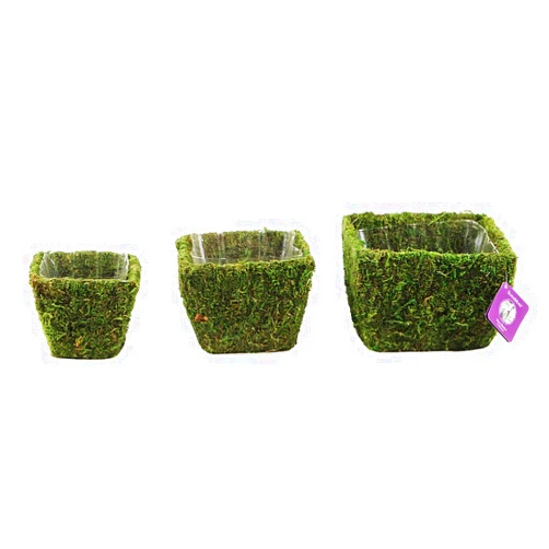 SuperMoss (55000 Windsor, Fresh Green, Set of 3 (S/M/L)