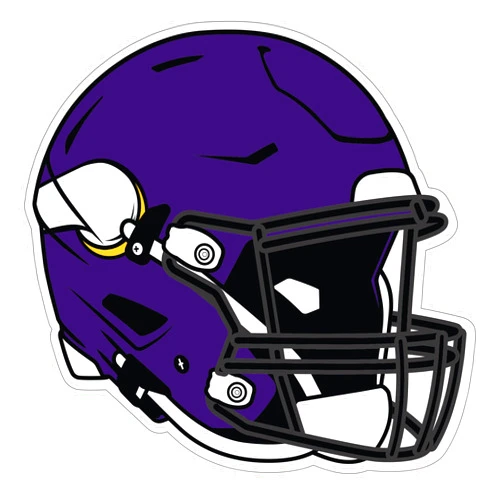 Siskiyou Sports NFL Minnesota Vikings Helmet Auto Decal, Team Colors, One Size