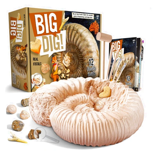 Byncceh Mega Fossil Dig Kit - Excavate 12 Prehistoric Fossils, Shark Teeth, Dinosaur Poop, Fossil Fish, Paleontology Educational STEM Science Toys for Kids Gifts for Girls & Boys