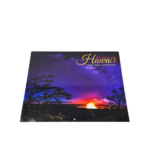 Happy Aloha 2026 Hawaiian Twelve-Month Wall Calendar, 8.5