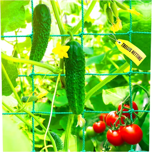 SHPPETONB Garden Trellis Netting - Heavy Duty Trellis Net for Climbing Plants, Plant Netting for Cucumber, Tomato, 27 Strands Nylon & 4x4 Inch Mesh, Grow Netting for Fruits, Vegetables, Grape, Bean(6.6x32.8 FT)