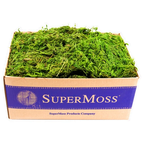SuperMoss (25325) Forest Moss Preserved, Fresh Green, 3 Pounds