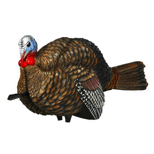 Avian-X LCD Half-Strut Jake Turkey Decoy | Durable Realistic Lifelike Collapsible Standing Hunting Decoy with Carry Bag & Stake, AVX8012