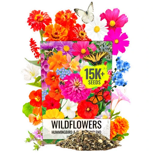 Seed Needs Flower Seeds Hummingbird and Butterfly Seed Mix 1 Ounce No Filler | 23 Varieties Garden Seeds Annual & Perennial Species | Pollinator Attracting Flowering Seed | Bulk Resealable Package